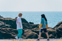 コント練習中のハナエモンスター（豆柴の大群）とタンタン。