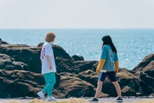 コント練習中のハナエモンスター（豆柴の大群）とタンタン。