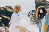 コント練習中のハナエモンスター（豆柴の大群）とタンタン。