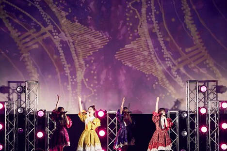 dTV「Roots -ももいろクローバーZ-」より、プレミアムライブの様子。