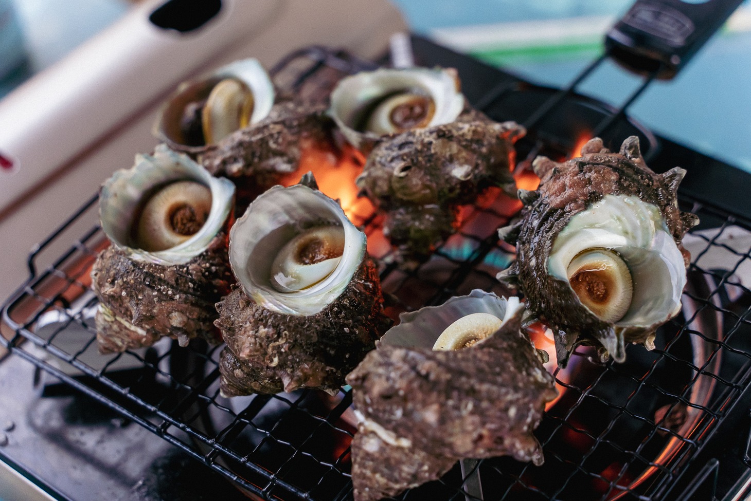 サザエの網焼き