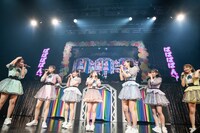 情報が多すぎて頭が追いつかない#ババババンビ。