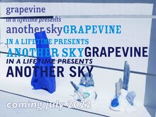 GRAPEVINE「grapevine in a lifetime presents another sky」告知ビジュアル