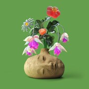 Elephant Gym「Dreams」ジャケット