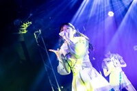 なでしこ（撮影：Masayo）