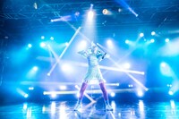 タマネ（撮影：Masayo）