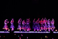 つばきファクトリー