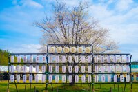 「YON FES 2022」1日目公演の様子。