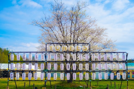 「YON FES 2022」1日目公演の様子。