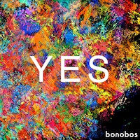 bonobos「YES（vanguard mix）」配信ジャケット