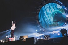 岡崎体育（Photo by Teruhisa Inoue）