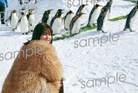 渡邉理佐「抱きしめたくなる瞬間」HMV・Loppi限定特典ポストカード（撮影：柴田フミコ）