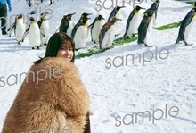 渡邉理佐「抱きしめたくなる瞬間」HMV・Loppi限定特典ポストカード（撮影：柴田フミコ）