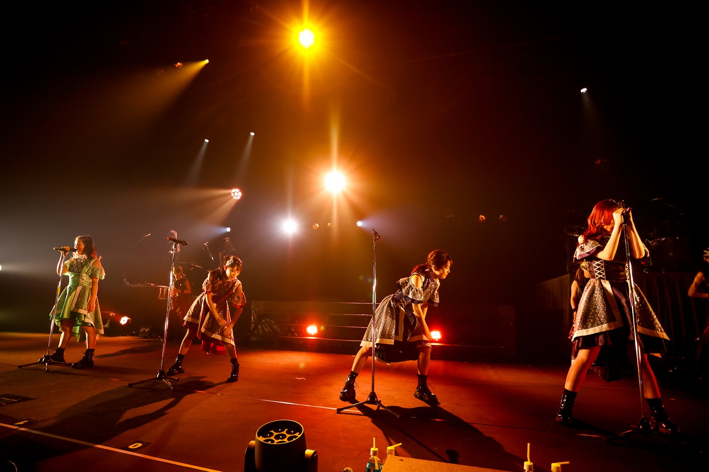 TEAM SHACHII「TOUR 2022 ～猪突！猛進！猛進！猛進！猛進！～」日本特殊陶業市民会館公演の様子。（撮影：小坂茂雄）