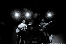 さくらしめじ（撮影：鈴木友莉）