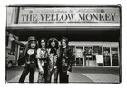 THE YELLOW MONKEY「SPRING TOUR "NAKED"」先行上映会、追加日程を発表