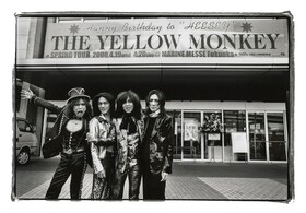 The Yellow Monkey 音楽ナタリー