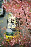 「Novel Core×#FR2DOKO?」コラボビジュアル