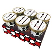 羊文学×円山ジェラート コラボジェラート6種セット商品見本