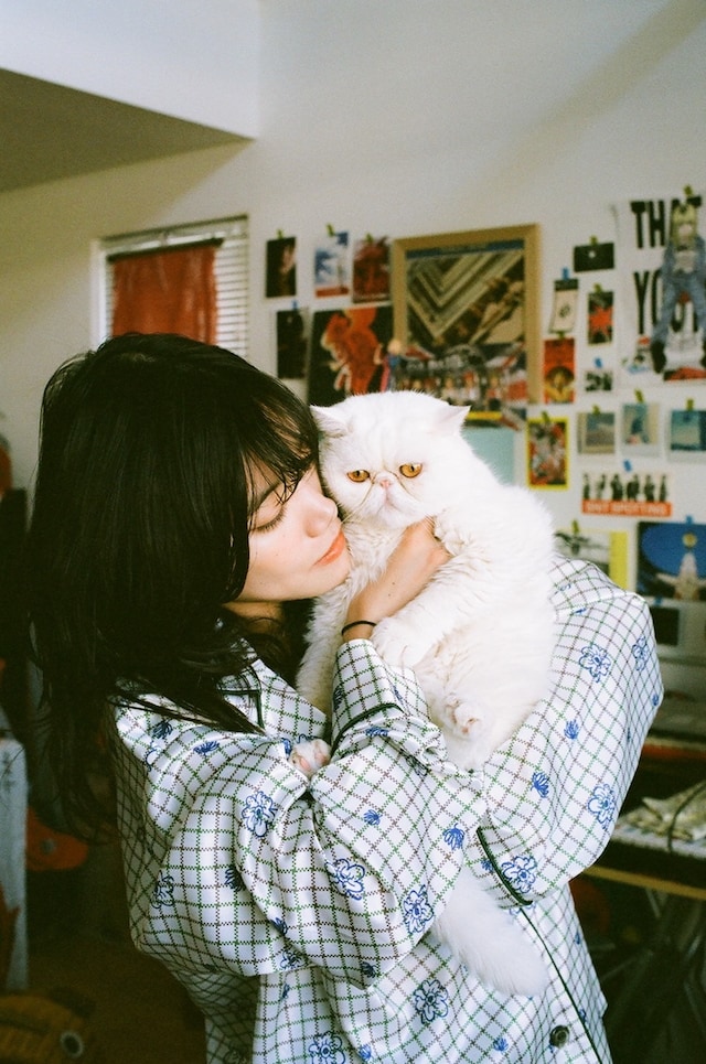 「チッチと猫のハクと坊（仮）」ビジュアル