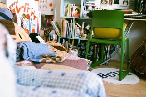 「チッチと猫のハクと坊（仮）」ビジュアル