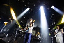 bonobos（Photo by Isamu Honma）