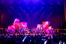 TEAM SHACHI「TOUR 2022 ～猪突！猛進！猛進！猛進！猛進！～」中野サンプラザホール公演の様子。