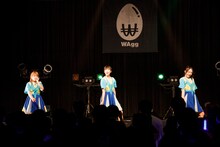 WAgg（Photo by sotobayashi kenta）