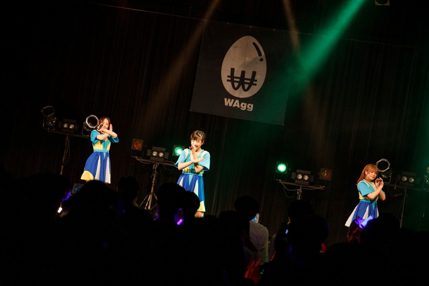 WAgg（Photo by sotobayashi kenta）