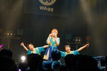 WAgg（Photo by sotobayashi kenta）