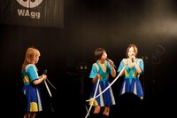 WAgg（Photo by sotobayashi kenta）