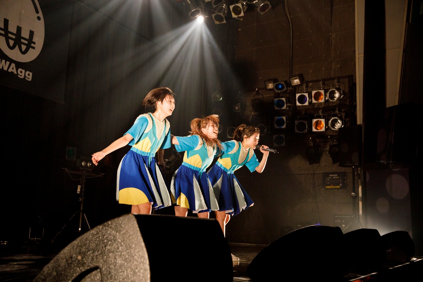 WAgg（Photo by sotobayashi kenta）