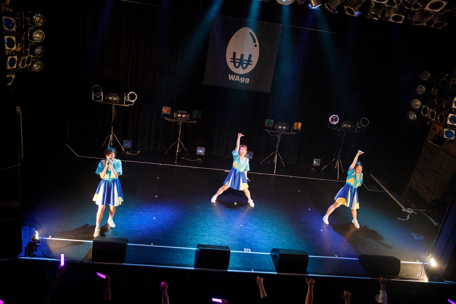 WAgg（Photo by sotobayashi kenta）