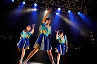 WAgg（Photo by sotobayashi kenta）