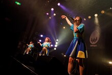 WAgg（Photo by sotobayashi kenta）