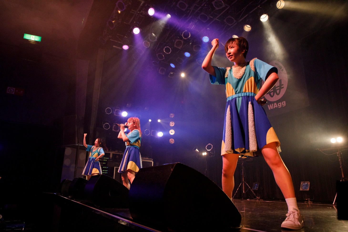 WAgg（Photo by sotobayashi kenta）