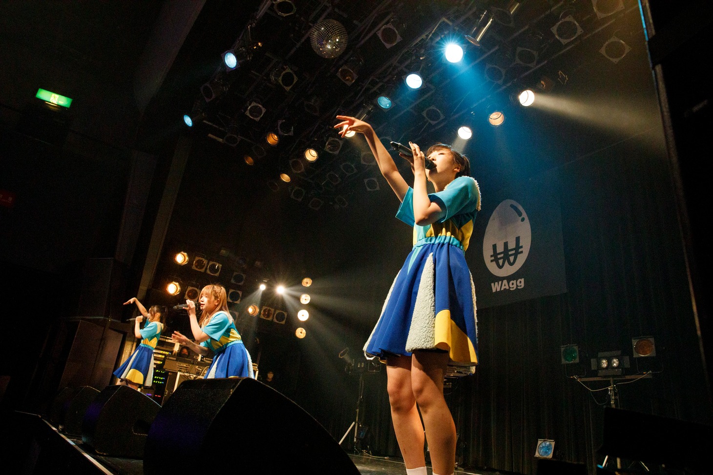 WAgg（Photo by sotobayashi kenta）
