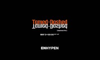 ENHYPEN「DIMENSION : 閃光」ティザー映像より。