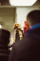 ハタサトシ個展「Outside The Spotlights」より。