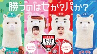 日本生命WebCM「セカパカダンス」キービジュアル
