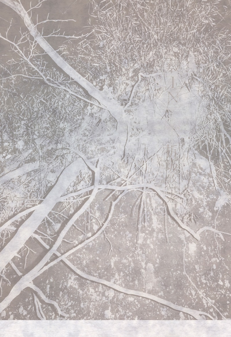 折坂悠太「薮IN」書影