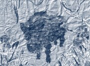 折坂悠太「薮IN」より。