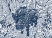 折坂悠太「薮IN」より。