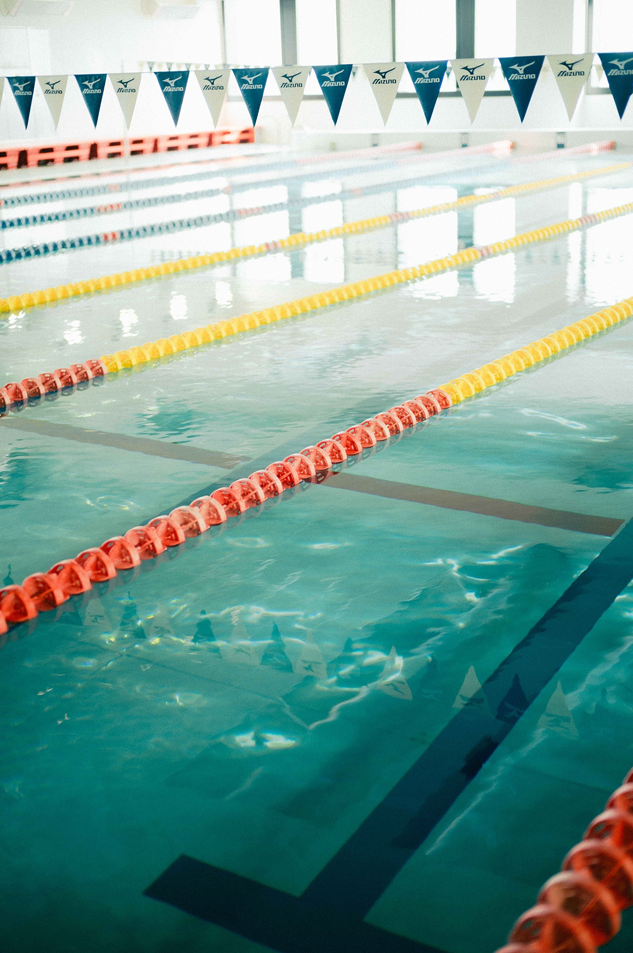 日大豊山の温水プール。