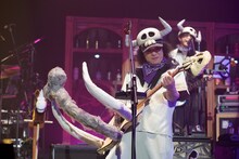 手島いさむ（撮影：三浦憲治［ライトサム］）