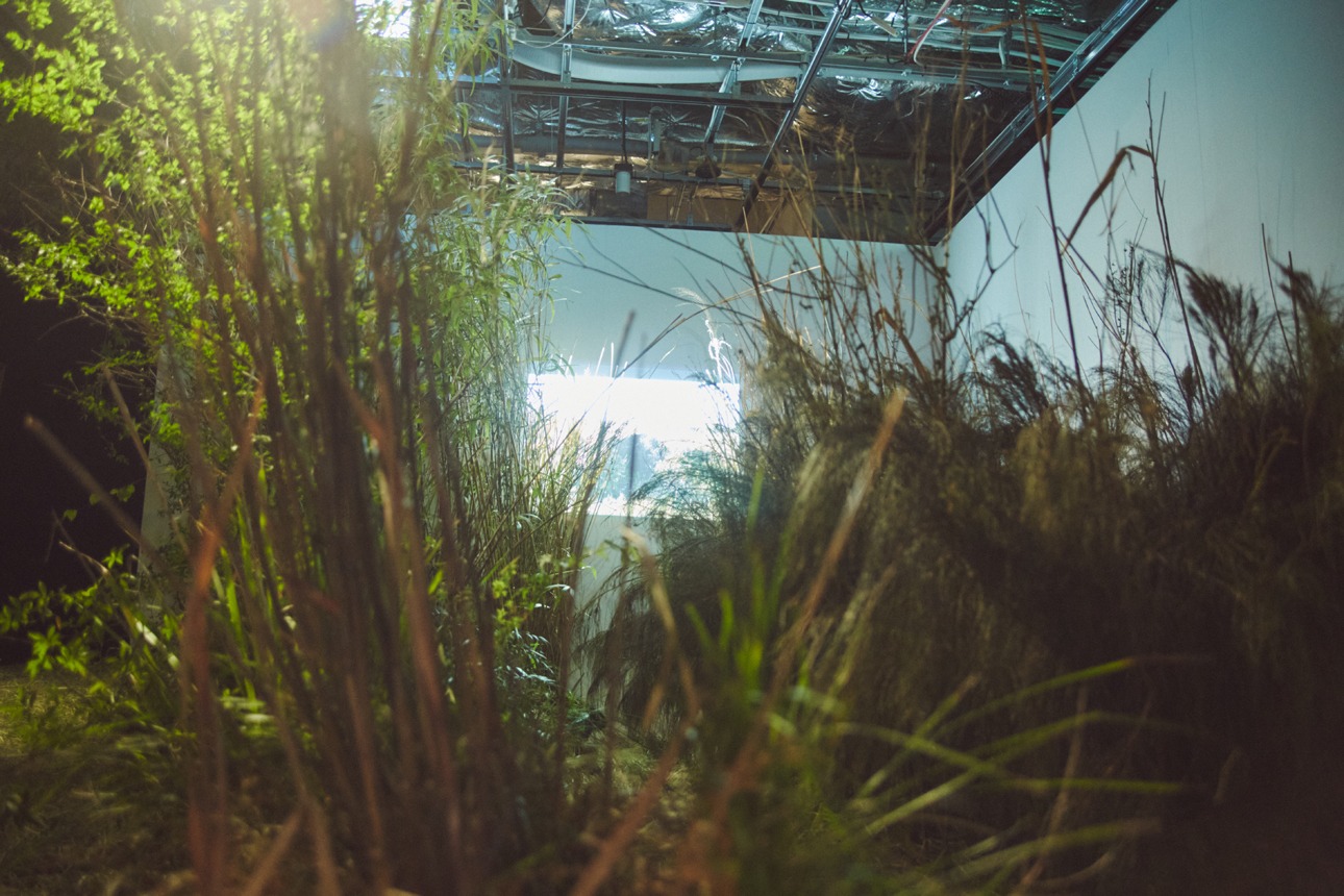 「薮IN」より。（Photo by Sakai De Jun）