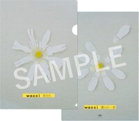 wacci「恋だろ / 僕らの一歩」応援店限定クリアファイル（初回限定盤＆通常盤）