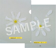 wacci「恋だろ / 僕らの一歩」応援店限定クリアファイル（初回限定盤＆通常盤）