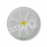 wacci「恋だろ / 僕らの一歩」楽天特典缶バッジ