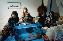 カイジューバイミー